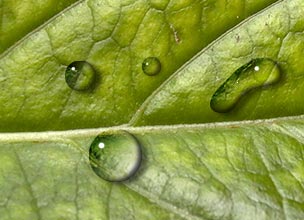 Капля воды, создание красивых капелек разной формы